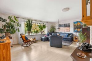 Wohnzimmer Haus 1