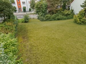 Vogelperspektive (Ohne Gebäude)